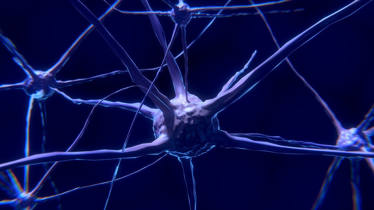 imagen ¿el alcohol mata neuronas?