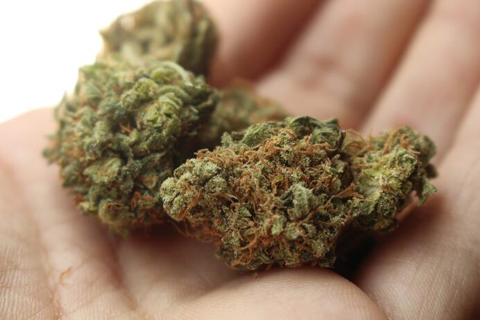 imagen sobre como saber si soy adicto a la marihuana