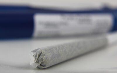 Mitos sobre la marihuana