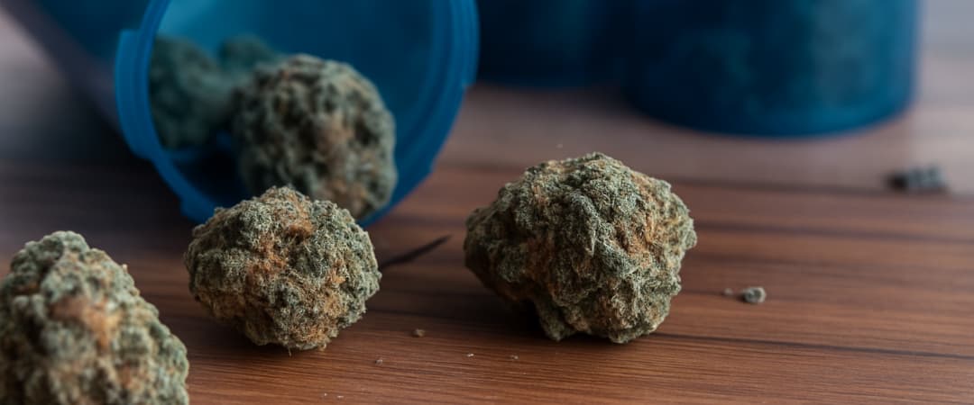 Ayuda profesional para dejar la adicción al cannabis en Valencia